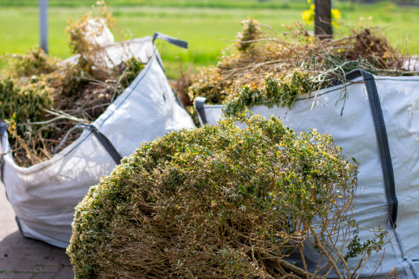 Yard Cleanup Services in Shelbyville, TN